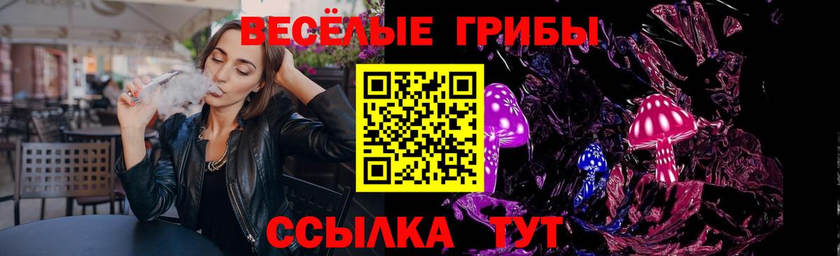 Галлюциногенные грибы Psilocybine cubensis Татарск