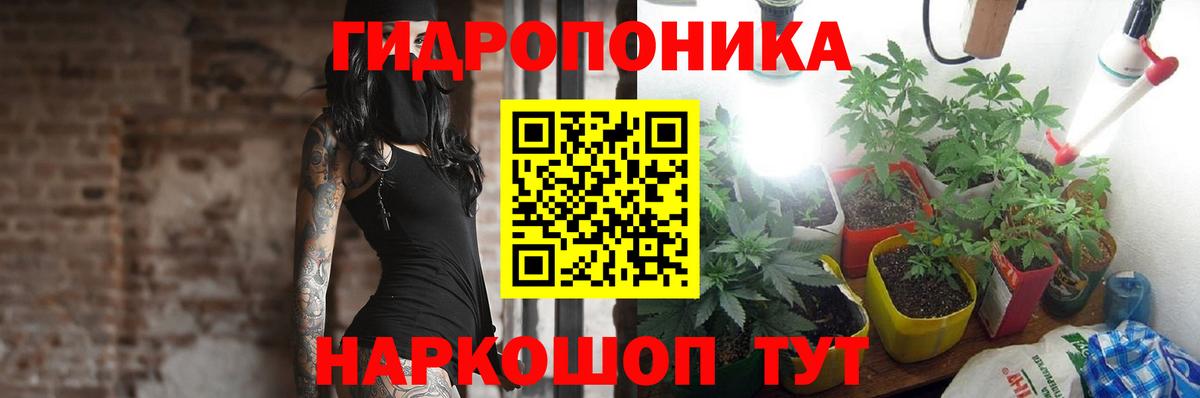 Бошки марихуана тримм  МАРИХУАНА марихуана  Вход с VPN  Марихуана ГИДРОПОН  Татарск  Бошки Шишки конопля 